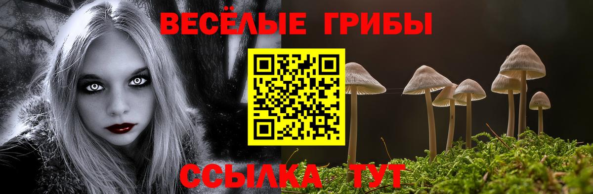 Псилоцибиновые грибы MAGIC MUSHROOMS Сыктывкар